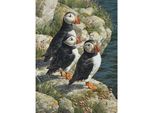Cobble Hill Puffball Puzzle 500 Pezzi