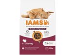 Iams Cat Adult Sensitive Digestion Tacchino 10 Kg