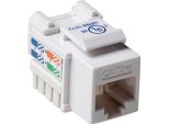Act CAT5E Keystone Jack Non Schermato Punch Down Sotto Il Bianco