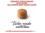 Royal Canin Feline Maine Coon - 4 Kg
