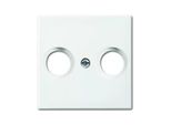 BUSCH-JAEGER Piastra Centrale Ant.Box Busch-Balance Si Aws Glz