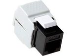 Act CAT6 Jack Keystone Non Schermato Senza Attrezzi Bianco