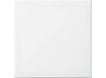 Bilanciere Busch-Jaeger Aws 2546-914 2CKA001434A0662
