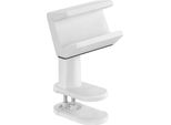 Inline® Morsetto Da Tavolo Per Bussola, Girevole, Morsetto A Molla, Bianco