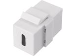 RF-KS-UC Modulo Di Installazione Usb 3.2 Gen 2 3.1 Keystone (RF-4538238)