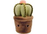 Stnux Mascotte Cactus STN8974 98974