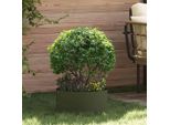 Maison Exclusive - Portavasi Olive Verde 40 X 40 X 20 Cm Acciaio Laminato A Freddo