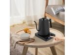 Bollitore Elettrico A Collo D'oca Da 1 L - Regolazione Della Temperatura - Funzione Di Mantenimento Del Calore - Acciaio Inossidabile - Per Caffè E Tè - Nero