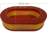 Filtro Aria Per Hortmasz HD196 HD196E HD225 HD225E / 292915/1 5314 Tosaerba