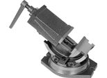 Morsa Di Precisione - Morsa Per Trapani E Fresatrici - Larghezza Ganasce 10 Cm - Ribaltabile - Ganasce Piatte - Ghisa - Forza Di Serraggio Max. 19 Kn