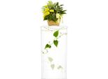 Portafiori In Acrilico - Pedana/Colonna - 30×30×60 Cm - Pannelli Da 3 Mm - Portata 3 Kg - Autoportante - Trasparente
