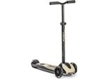 Scoot & Ride Highwaykick 5 Led Monopattino In Plastica/Metallo Ash, Dimensioni: Circa 55Cm X 15Cm X 24Cm, 96440