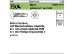 Viti Autoperforanti Reyher 7504-N 6,3X45 Zincate A Caldo (500 Pezzi)