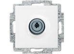Busch-Jaeger Schuko Inserto Presa 20 EUKBSL-914 2CKA002018A1513