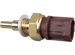 Sensore Temperatura Liquido Refrigerante A 2 Poli Marrone Metzger Per Subaru Outback E Altri Modelli