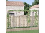 The Living Store Pergola Bambus 385X40X205 Cm