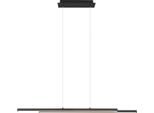 Reality Leuchten Odio Lampada A Sospensione Wht 110X150X8,50 Cm Nero Lampada A Sospensione