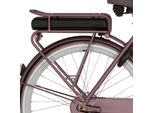 Cortina Achterdrager E-U4 Bafang Argento Piccante Opaco