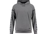 Hummel Authentic Charge Felpa Con Cappuccio In Poliestere Kinder Grigio Scuro Melange 116