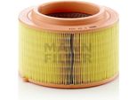 Filtro Aria MANN-FILTER C 22 024