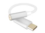 Helos 288381 Cavo Adattatore Helos Presa Jack Usb 3.1 Type-C Argento