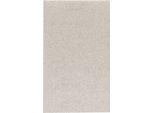 Bosch 10X Expert M480 Rete Di Levigatura Per Levigatrice Orbitale 80 X 133 Mm G 80 - 2608900734