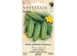 Cetriolo Regina F1 - Ibrido, Grosso