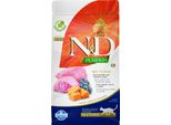 N&D Pumpkin Cat Neutered Agnello E Mirtillo 1,5Kg