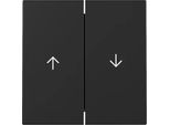 Gira Rocker 2F Arrow System 55, Nero