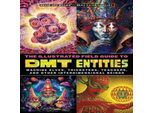 La Guida Da Campo Illustrata Alle Entità Dmt