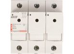 Fusibile Sezionatore 3P 63A D02 R303 606709