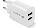 Caricatore Di Rete Everactive SC-220 2X Usb 2,4A 12W