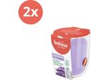 Bolsius - True Scents - Vetro Profumato - 80/73 - Lavanda - Confezione Risparmio - 2 Pezzi