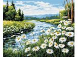 Pittura Per Numeri 40X50 Fiume
