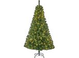 Albero Di Natale Artificiale Charlton Black Box - 115X115X185 Cm - Pvc - Verde