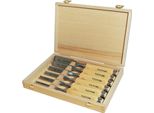 Set Di Scalpelli Da Intaglio 6,10,12,16,20,26 Mm Manico In Faggio Bianco Forma Ulmer 6 Pezzi
