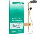 Hansgrohe Piastra Doccia Raindance Alive S 300 2Jet Con Termostatico Bbr