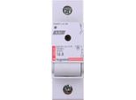 Fusibile Sezionatore 1P 16A D01 R301 606604