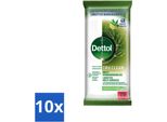Salviettine Detergenti Dettol Tru Clean Eucalipto & Lime, 48 Pezzi - Confezione Risparmio - 10 Pezzi