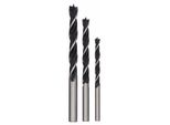 Set Di Punte Per Legno Bosch 6-10 (3 Pezzi) 2609255308