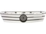 Blic 6502-07-3505991P - Oe 168 888 01 60 Griglia Del Radiatore Per Classe A (W168)