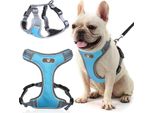 Pettorina Per Cani Astro Blu, Taglia M