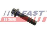 Fast FT45901 Riemenscheibenschraube Oe 0516S2 Kompatibel Mit Mito, 500, 500C, 500L, 500X, Doblo, Fiorino, Grande Punto, Idea, Palio, Panda, Punto, Siena, Strada, Musa, Ypsilon, Agila A, Agila B, Astra H, Astra J, Combo, Corsa C, Corsa D, Meriva, Tigra