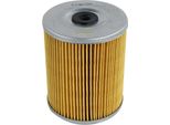 Filtro Carburante Fast FT39100 Per Opel Movano Furgone (X70) Cartuccia Filtrante