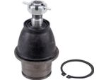 Guida Di Supporto Articolata 14,8 Mm MM14X1,5 Rht Ø 41 Mm A.B.S. Per Infiniti Ex, Tra Gli Altri