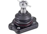 Giunto Sferico A.B.S. Per Nissan Cabstar (F24M, F24W) 220655