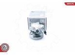 Esen Skv 10SKV185 Pompa Del Servosterzo Pompa Del Servosterzo Per Audi Q5 (8RB)