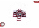Esen Skv 49SKV513 Set Guarnizioni Collettore Di Aspirazione Per Bmw 3 Touring (E91) 3 Berlina (E90) 5 Berlina (E60) 1 Hatchback (E87) 5 Touring (E61) X3 (E83)