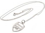 Arsenal Fc - Crest - Collana Con Ciondolo, Acciaio Inossidabile BS4258 (Taglia Unica) (Argento)