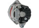 Alternatore Generatore Corrente Continua 14 V 80 A HC-CARGO Per, Tra Gli Altri, Case Ih
